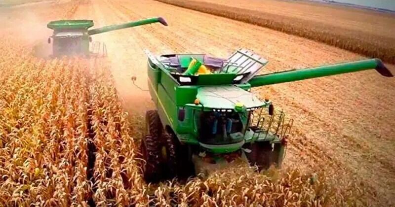 Agrónomos venezolanos consideran impostergable adoptar la IA en la agroindustria