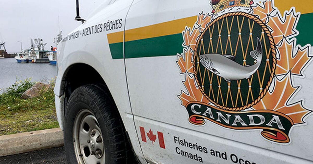 Canadá diversifica sus exportaciones de productos del mar con una destacada participación en Seafood Expo Global 2026
