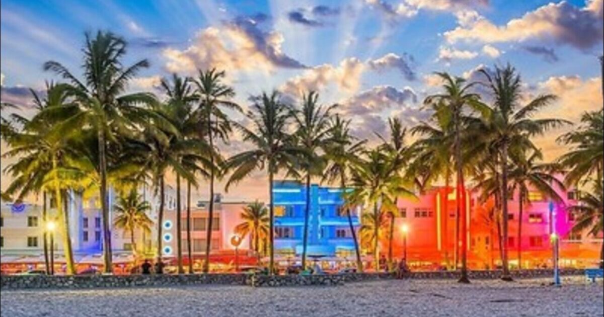 Luces brillantes, arenas acogedoras y delicias artísticas: Miami Beach revela una temporada navideña mágica este diciembre