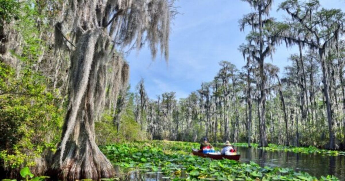 La ampliación del Refugio Nacional de Vida Silvestre Okefenokee obtiene la aprobación final