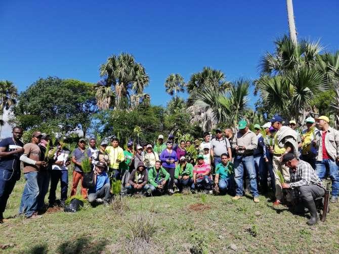 Industrias San Miguel siembra más de 12 mil árboles en Santiago Rodríguez