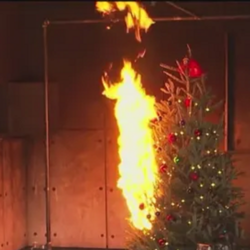 Prevención: Bomberos de Cobb demuestran los peligros de descuidar los árboles de Navidad