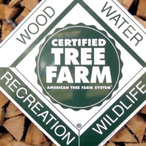 Premio Nacional de Sostenibilidad Forestal le conceden a propietaria en Georgia