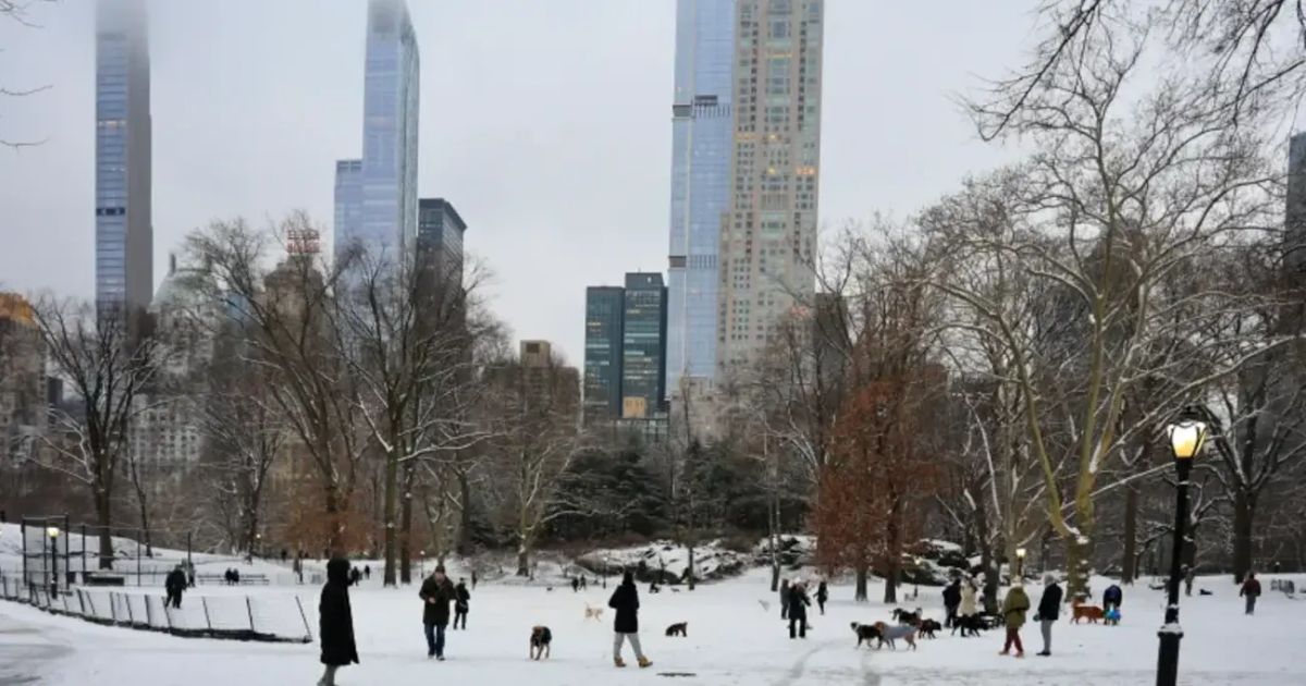 Nueva York vive la primera nevada importante en casi dos años