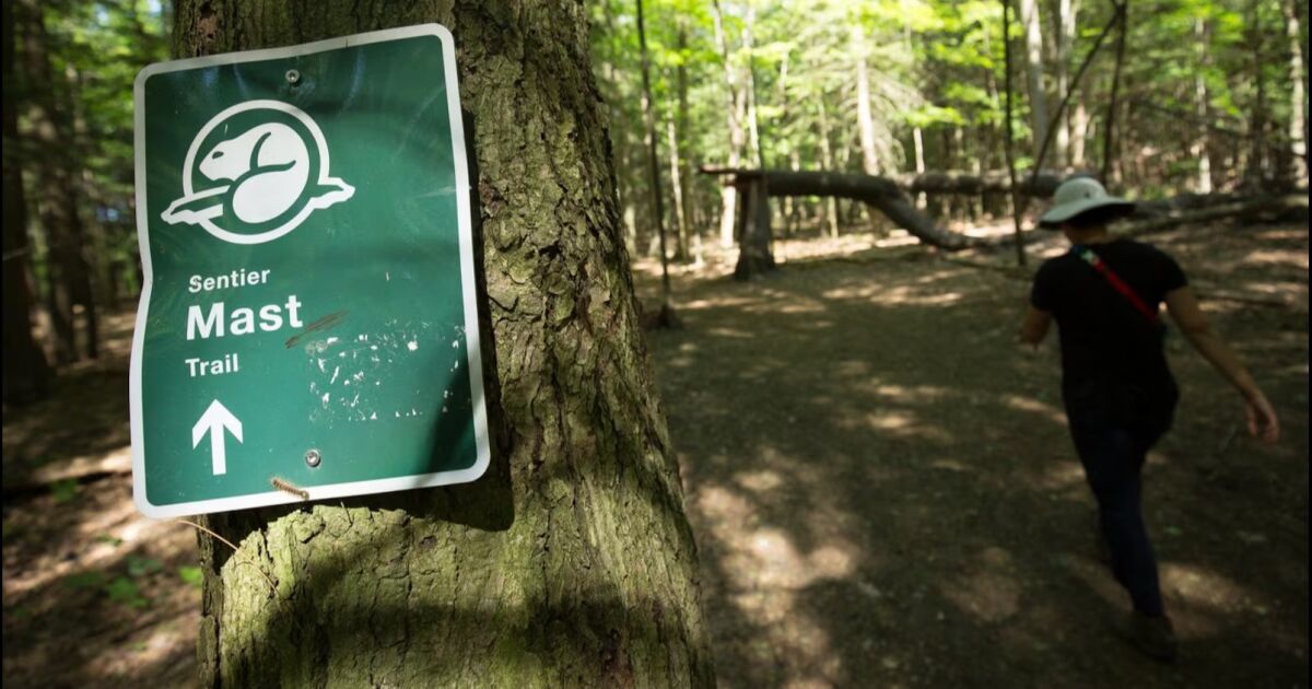 Ottawa promete mejoras para el Parque Urbano Nacional Rouge y la playa en el área de Toronto