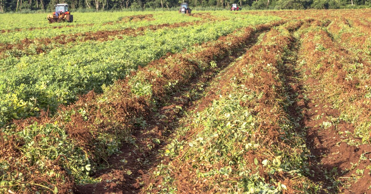 Producir más con menos: la nueva apuesta de la agricultura eficiente
