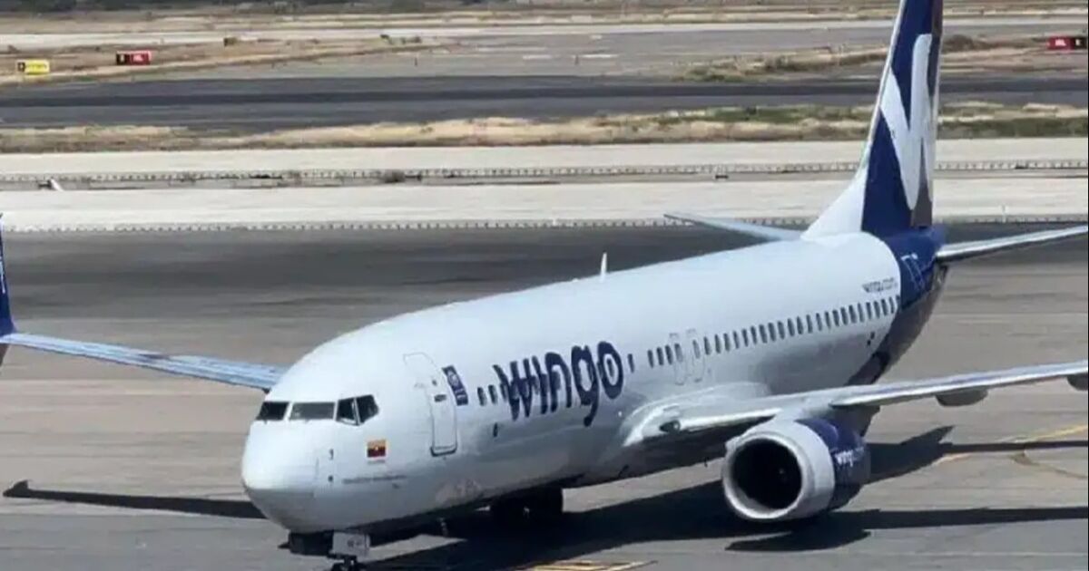 Wingo volará a Margarita y estudia tres nuevas ciudades venezolanas