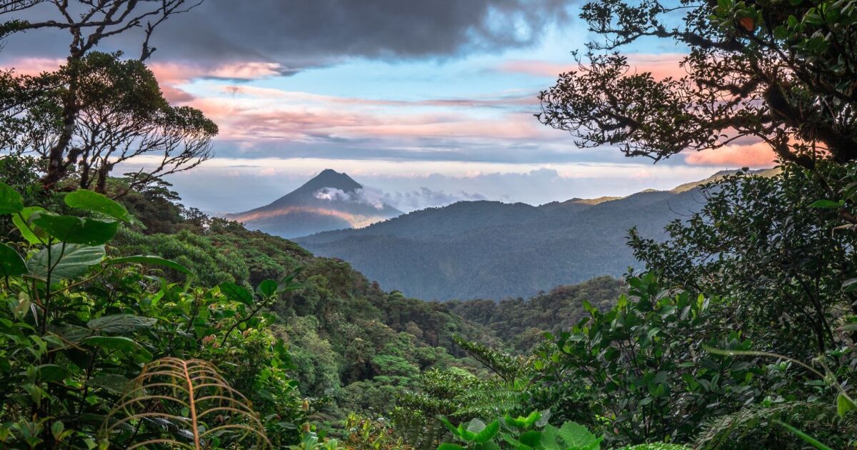 Costa Rica amplía el programa de pagos por servicios ecosistémicos más allá de los bosques para incluir manglares, arrecifes de coral y la conservación de los océanos