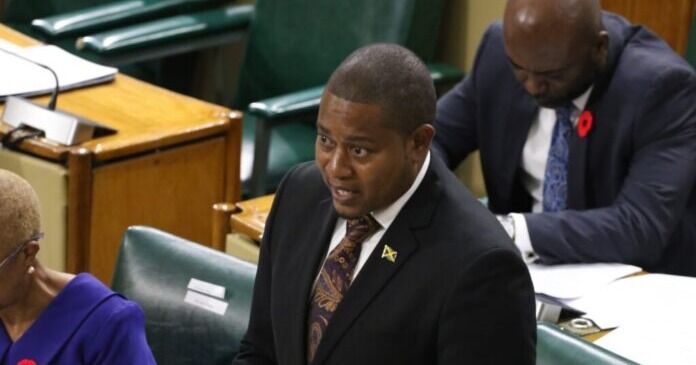 Pérdidas de cultivos y ganado por valor de 29.500 millones de dólares obligan a Jamaica a buscar alimentos en el extranjero