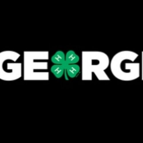 Los proyectos de capital aportan mejoras al campus 4-H de Georgia