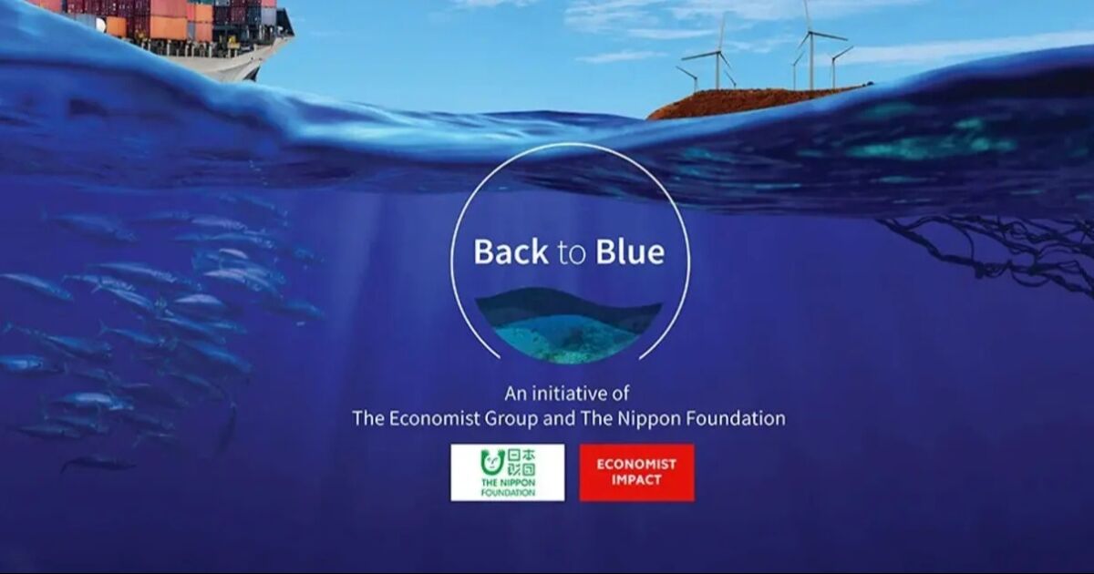 Un modelo de gobernanza caribeño ofrece un plan para abordar la contaminación oceánica a nivel mundial - Back to Blue