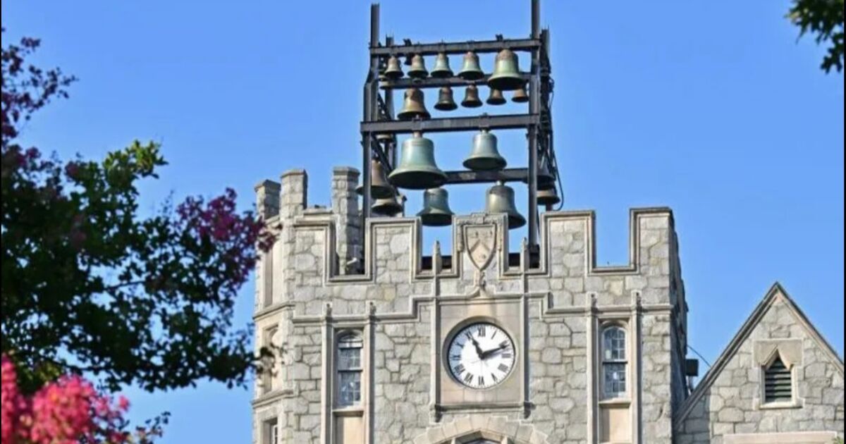 La Universidad de Oglethorpe implementa nuevos programas de preparación profesional