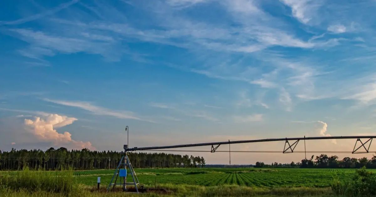 Nueva herramienta de CAES ofrece tendencias de 20 años para la producción agrícola a nivel de condado