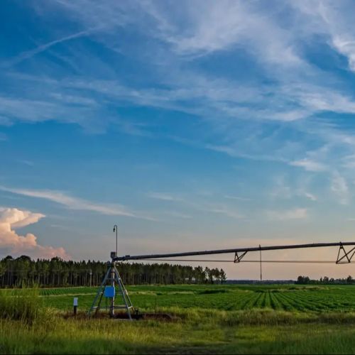 Nueva herramienta de CAES ofrece tendencias de 20 años para la producción agrícola a nivel de condado