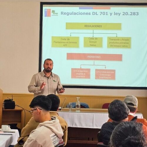 CONAF y Agencia de Sostenibilidad Energética capacitan a 100 productores y comerciantes de leña