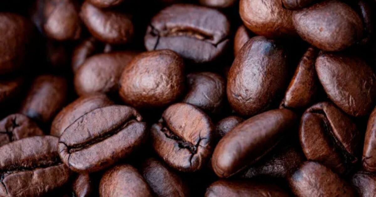 Primera Edición de la Expo Lara es Café 2026 iniciará el próximo 12 de Junio