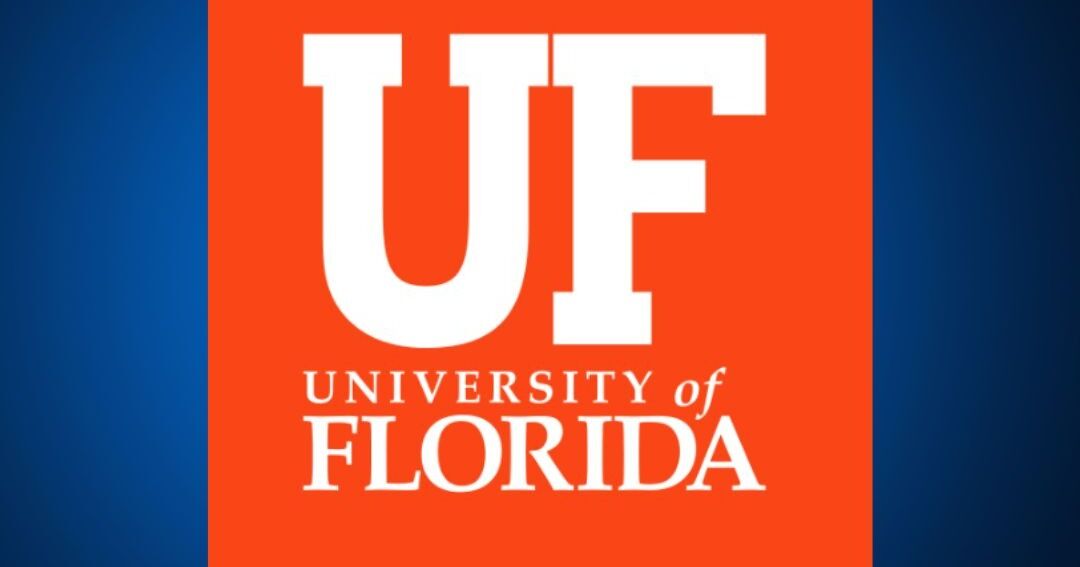 La Universidad de Florida ocupa el primer puesto a nivel nacional en programas de licenciatura en línea