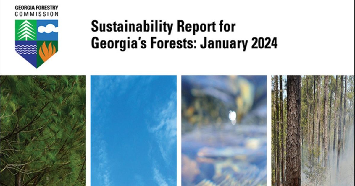 Bosques de Georgia: una póliza de seguro renovable