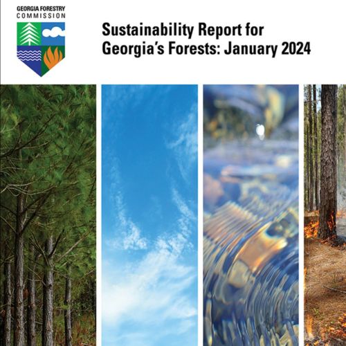 Bosques de Georgia: una póliza de seguro renovable