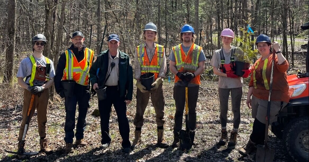 Forests Canada y Ontario Parks finalizan proyectos para restaurar y mejorar los parques provinciales