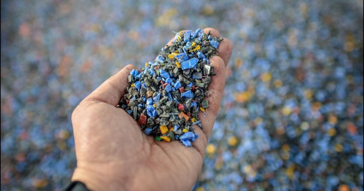 De residuos plásticos a un sustituto a la madera: El innovador emprendimiento que busca proteger el ecosistema magallánico