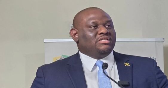 Jamaica trazará rumbo a la reforma del acceso a la información