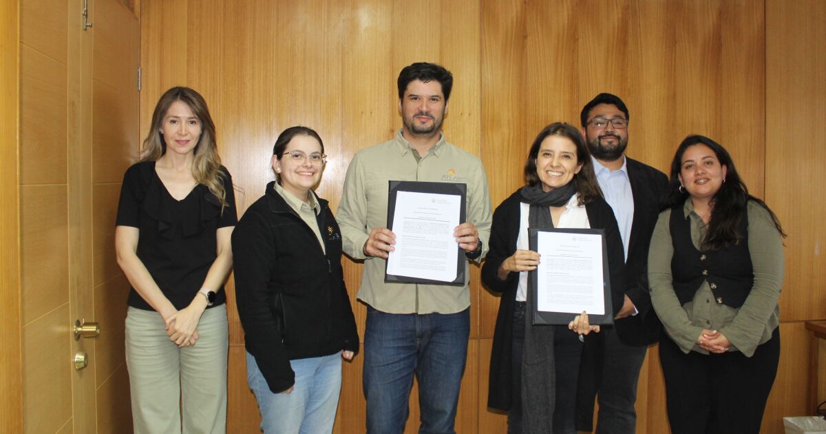 Atlas Renewable Energy y la UCN impulsan alianza para formar talento en energías renovables y almacenamiento
