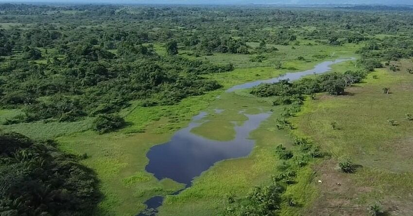 Panamá será sede de la COP16 de la Convención sobre los Humedales en el 2028