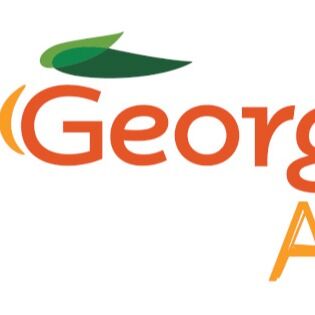 El Consejo de las Artes de Georgia concede subvenciones a 62 organizaciones