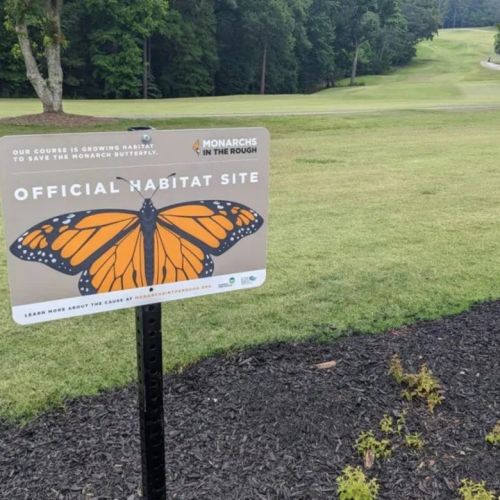 Campos de golf de Georgia están mejorando los hábitats de la vida silvestre, incluidos los que no se denominan Augusta National