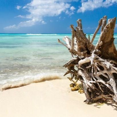 Descubre las hermosas playas de Georgia para disfrutar en familia