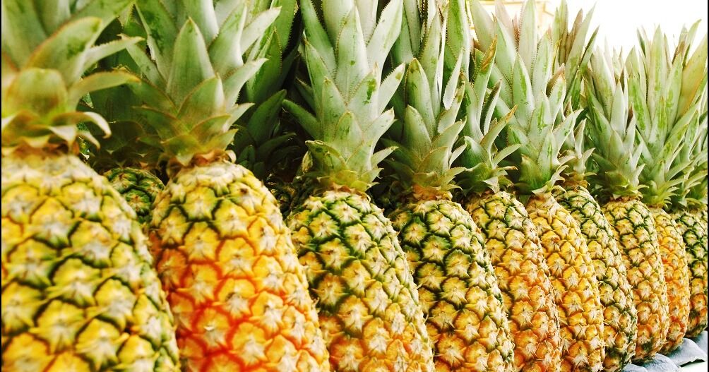 Costa Rica lanza "The Natural Choice" junto a Amazon para promover sus exportaciones agrícolas en Europa