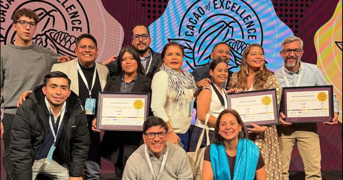 Triple oro para el cacao ecuatoriano en el certamen Cacao of Excellence 2025