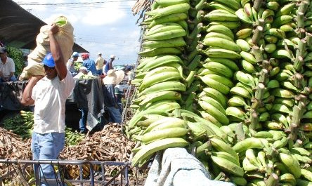 Productos bajan precios Mercado Duarte, según mayoristas