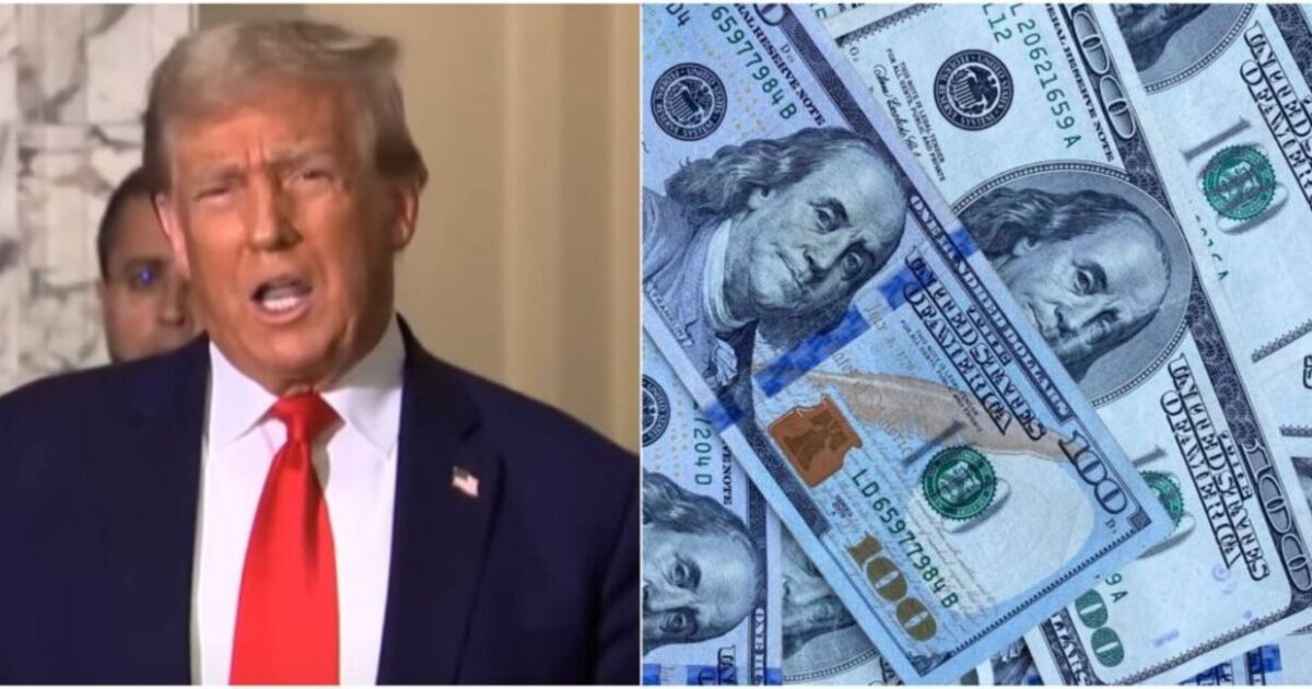 Presidente Trump contempla reembolsar a los ciudadanos una parte de los ahorros del Departamento de Eficiencia Gubernamental