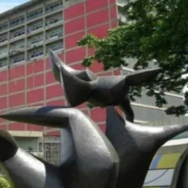 Nanopartículas desarrolladas en la UCV elevan hasta 40% el rendimiento agrícola