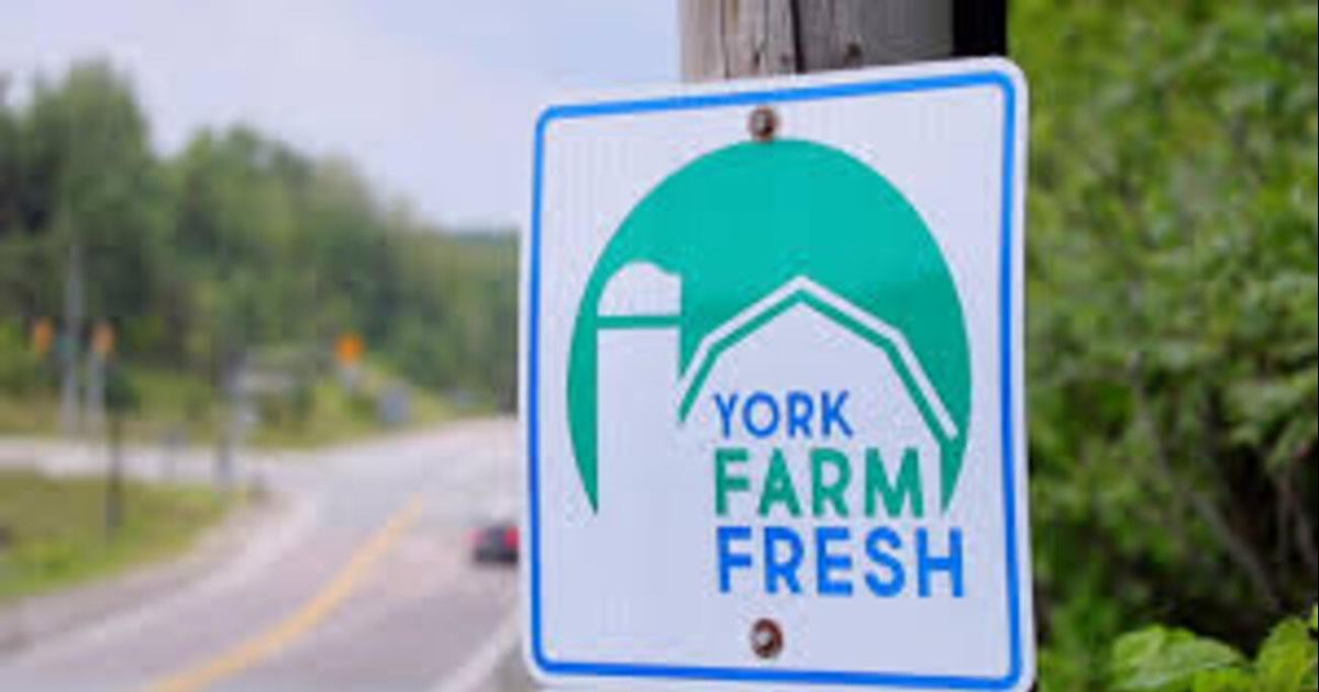 Celebre la semana de la comida local York Farm Fresh