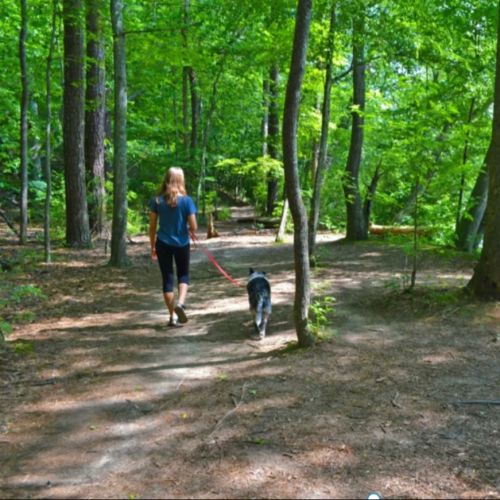 Ayuntamiento aprueba subvención para conectar el centro de Atlanta con el río Chattahoochee