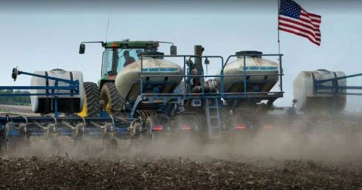 Impulso en la siembra de maíz: Agricultores de EEUU superan expectativas según el USDA