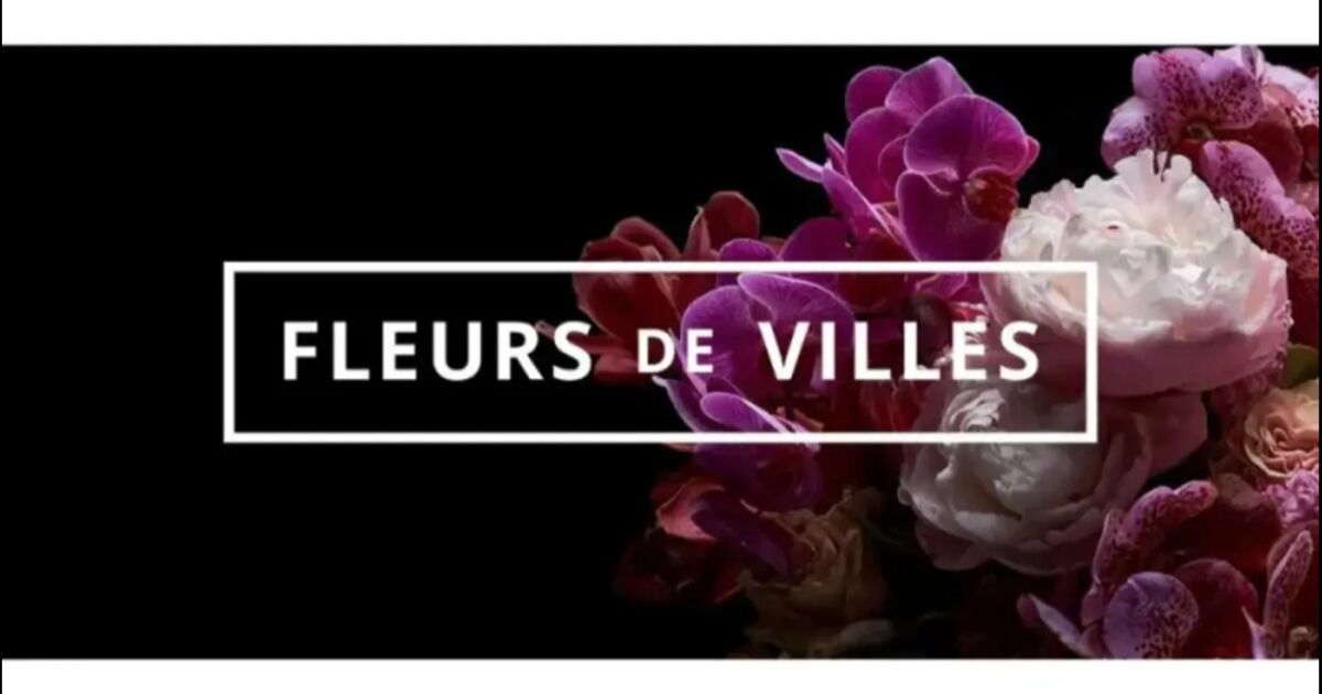 Flores de Villes Downton Abbey