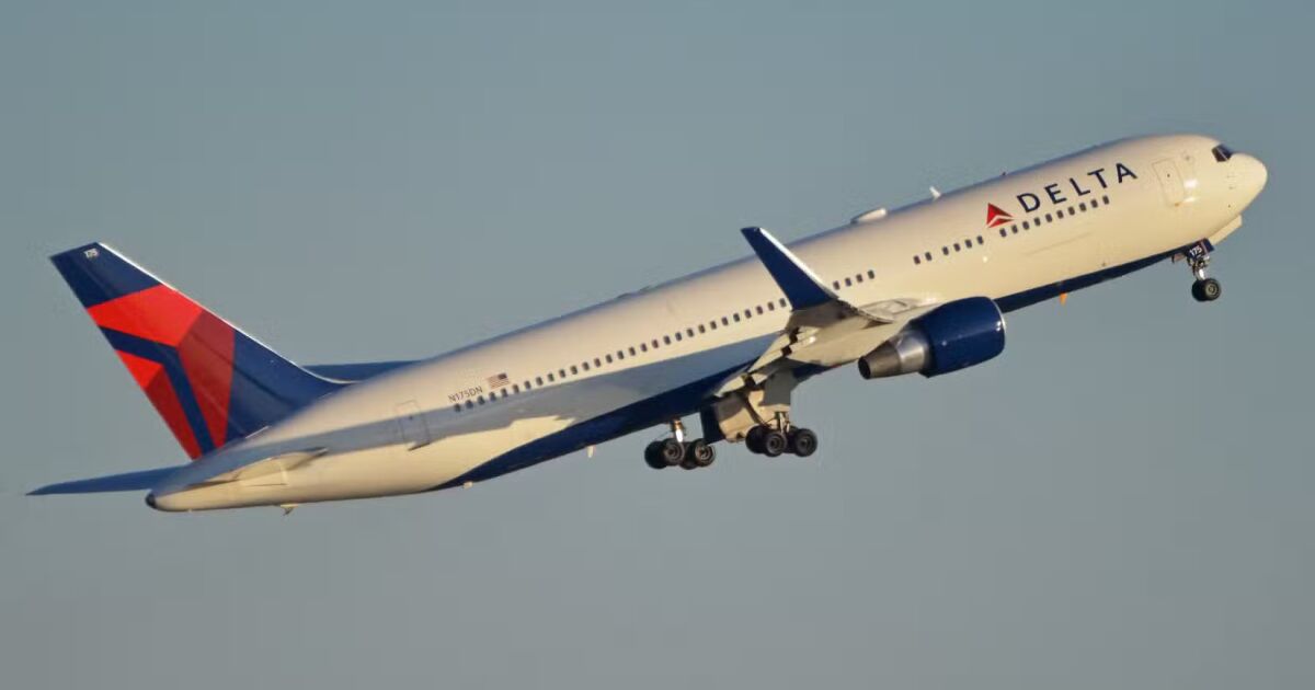 Aerolínea estadounidense según el trato pet frendly