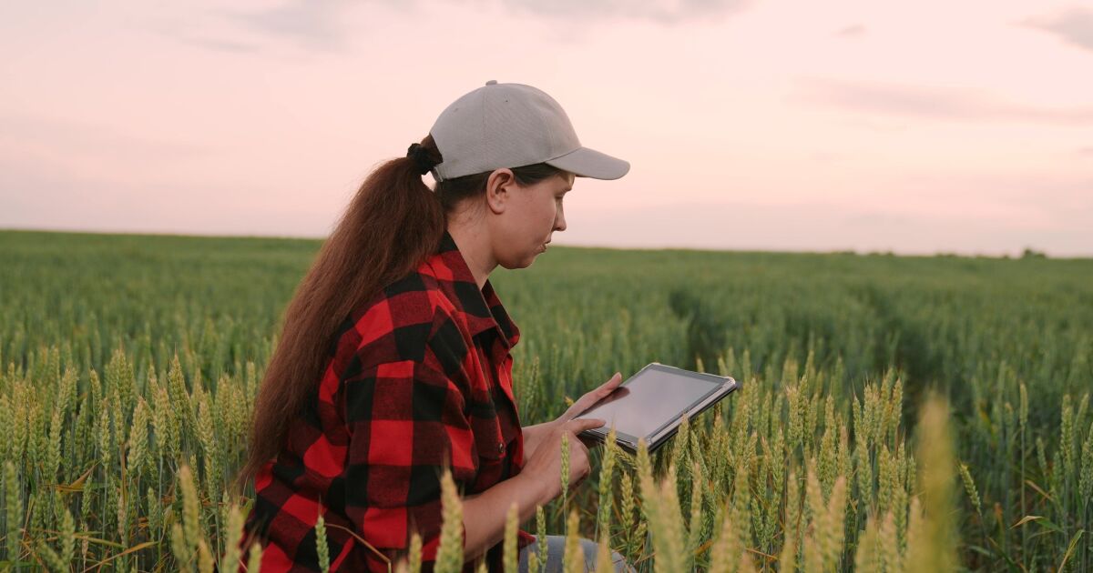 El agro ecuatoriano produce sin desgastar la tierra
