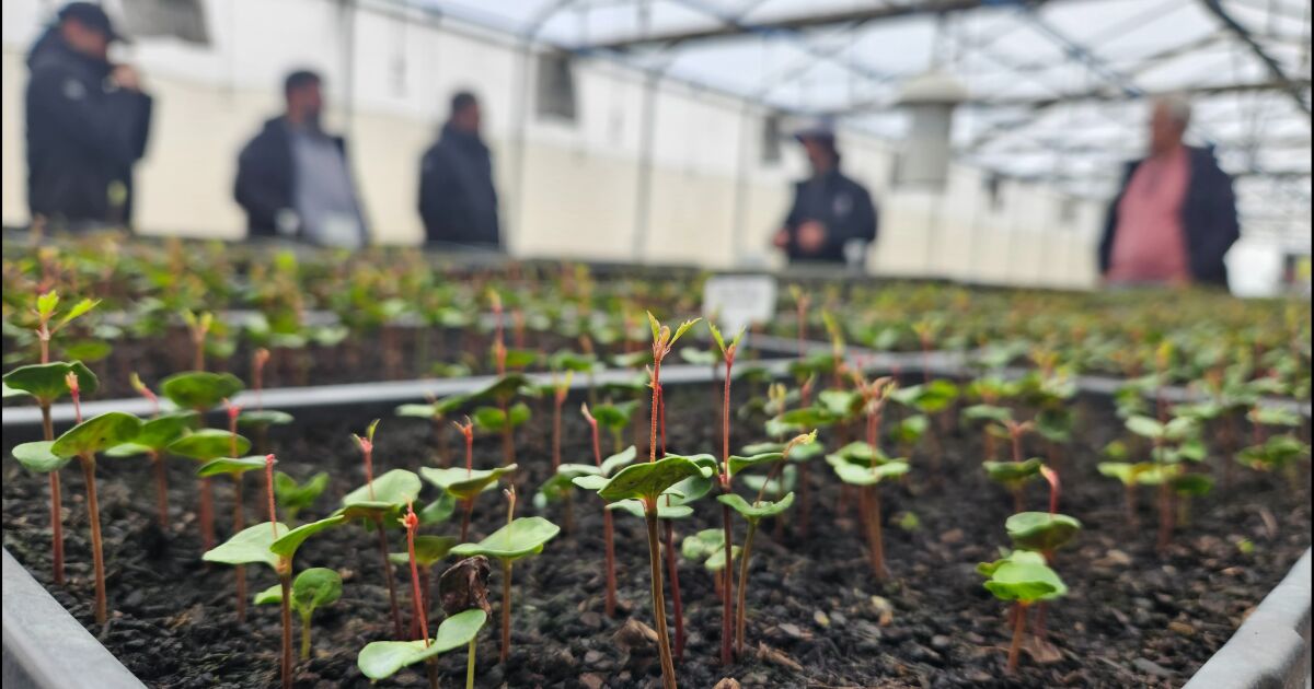 Día de la Tierra, una fecha clave para reafirmar el compromiso con la sostenibilidad
