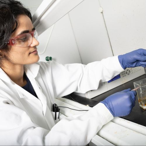 Georgia Tech: Este acero inoxidable modificado podría matar bacterias sin antibióticos ni productos químicos