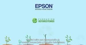 Epson y Reforestemos: cinco años sembrando futuro en la Patagonia chilena