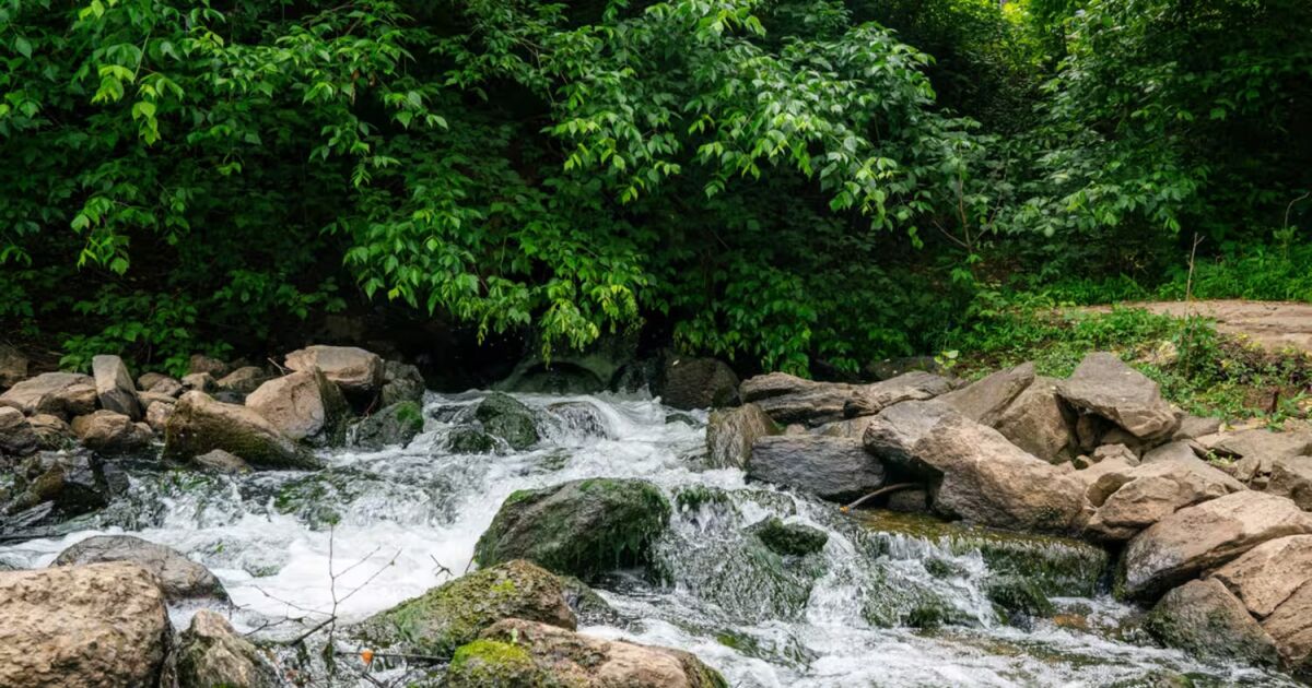 Chattahoochee Riverkeeper y la ciudad de Atlanta resuelven demanda por la Ley de Agua Limpia