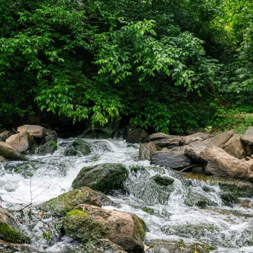 Chattahoochee Riverkeeper y la ciudad de Atlanta resuelven demanda por la Ley de Agua Limpia