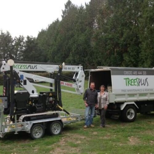 Trees Plus LTD ofrece un servicio de cuidado de árboles confiable en Sandy Springs para un cuidado eficiente de los árboles