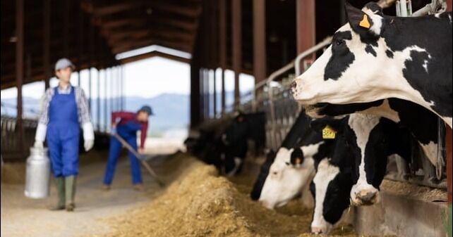 Group Bel Canada invierte 3,7 millones de dólares para apoyar la descarbonización de la producción láctea canadiense