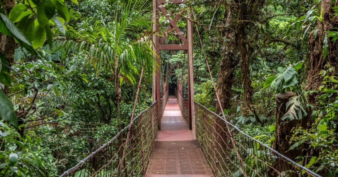 Costa Rica recibe más turistas en noviembre